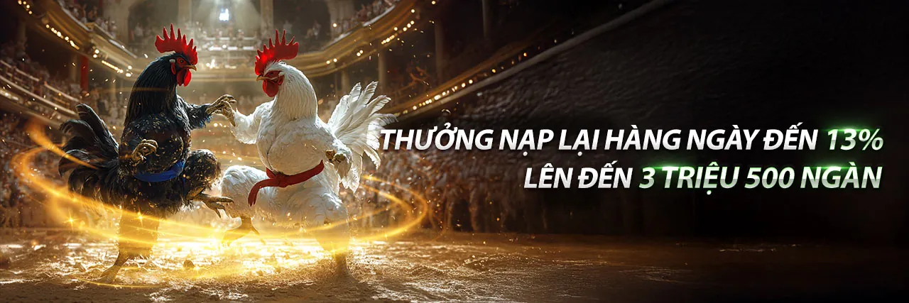 Đá Gà Thomo Trực Tiếp Ngày 6 Tháng 10